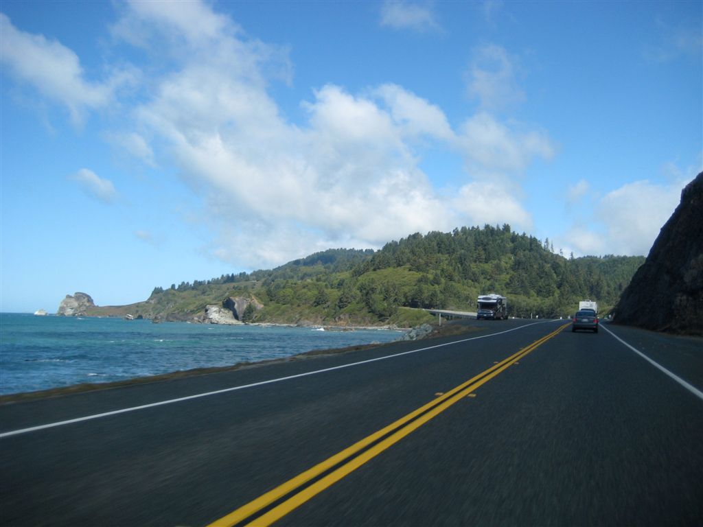Coastal Redwoods NP
