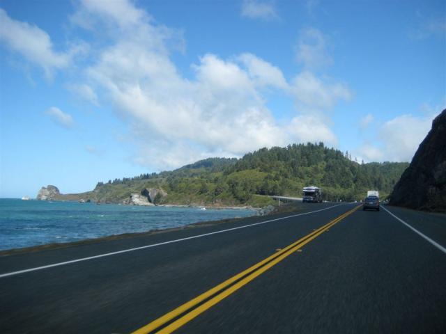Coastal Redwoods NP