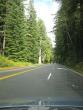 Driving through more redwoods