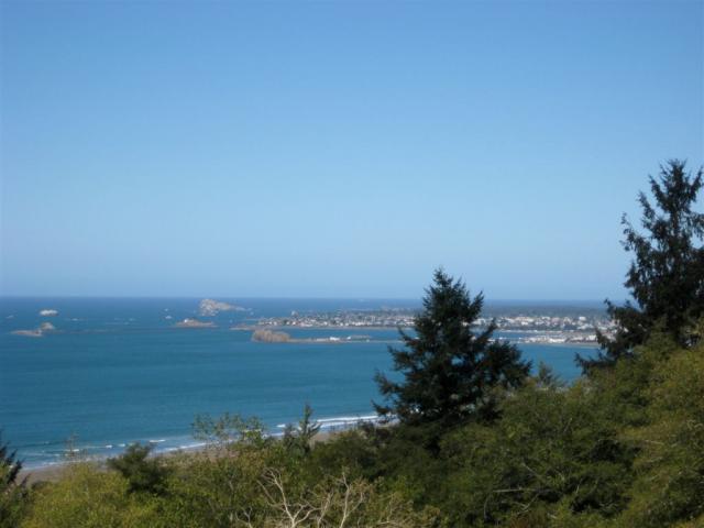 View of Crecent City at the north end of the Redwoods