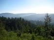 An overlook down to the Tall Trees Grove