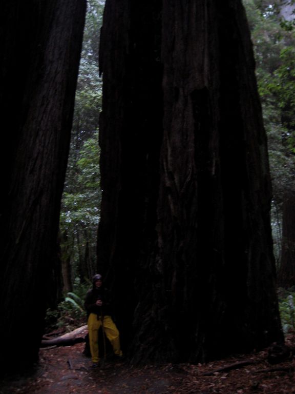 Ya.. pretty big..  :)