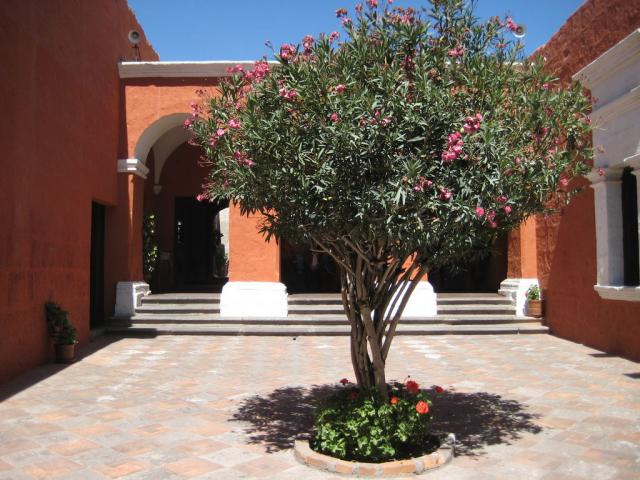 Santa Catalina monastery in Arequipa