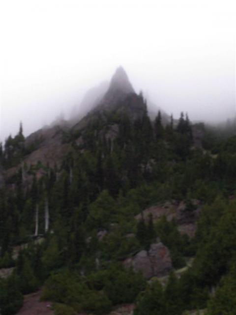Peak looking up at the side of the road