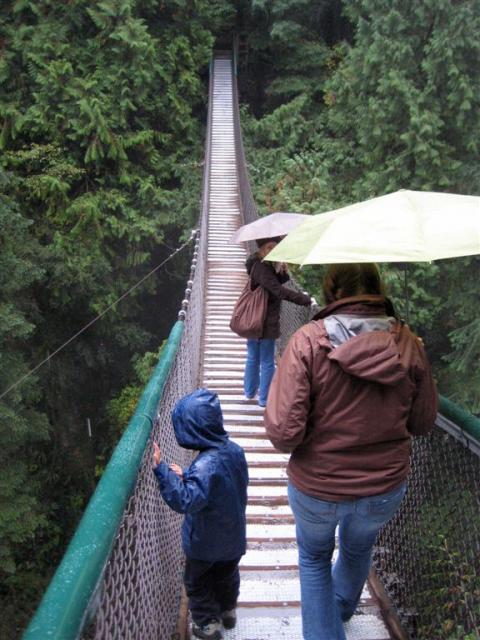 Suspension bridge!