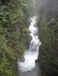Nice river