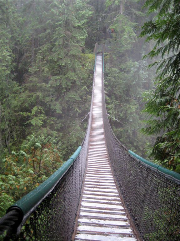 The bridge on its own
