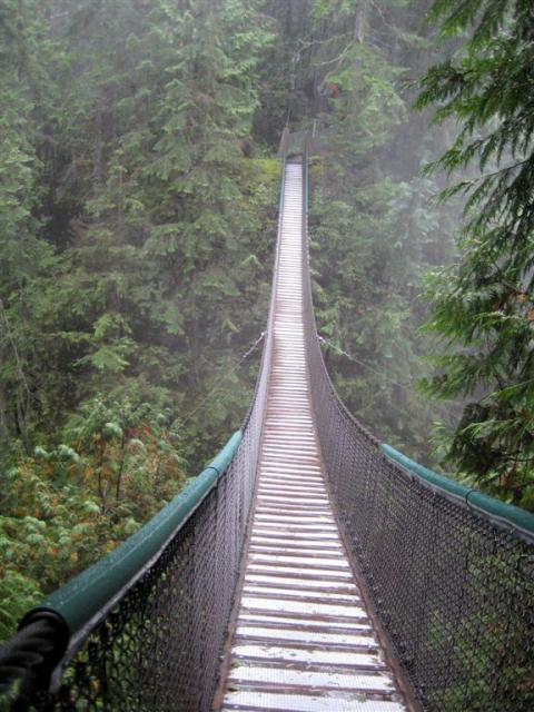 The bridge on its own