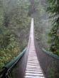 The bridge on its own