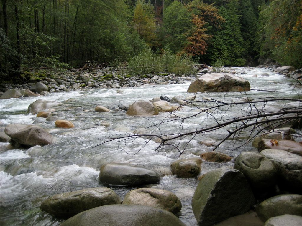 Cool rapids
