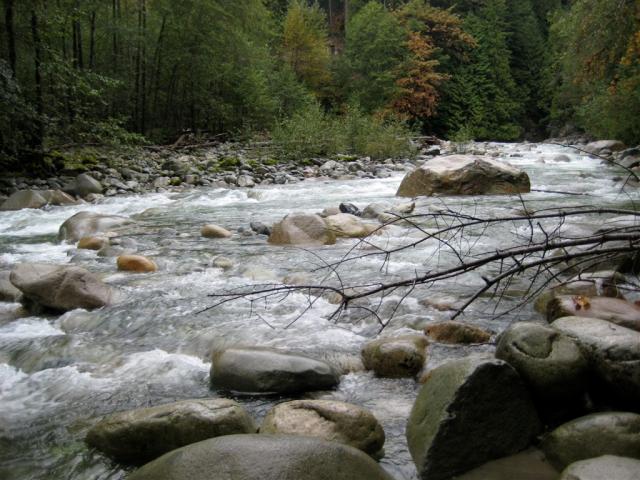 Cool rapids