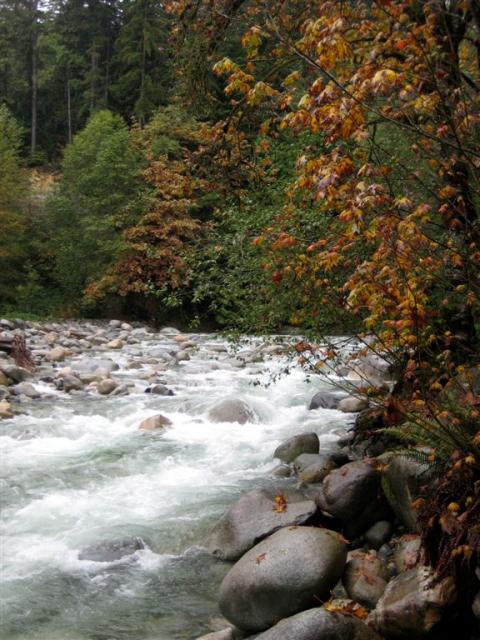 Fall colours