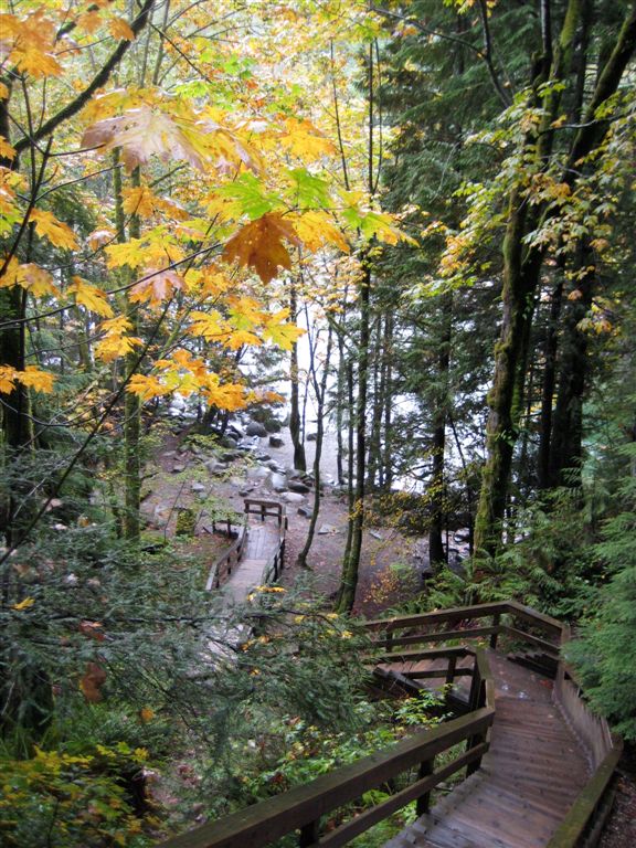 Up many stairs, nice yellow leaves