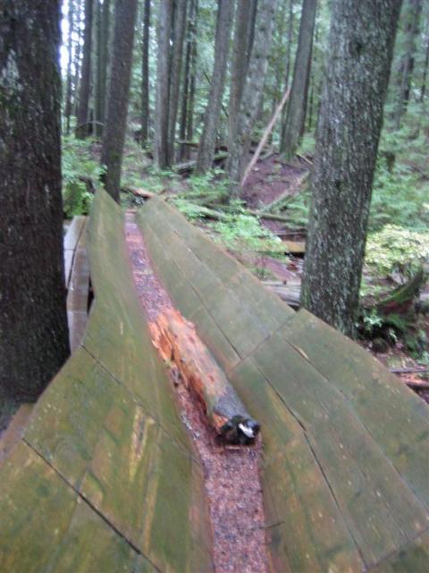 Example of early logging techniques