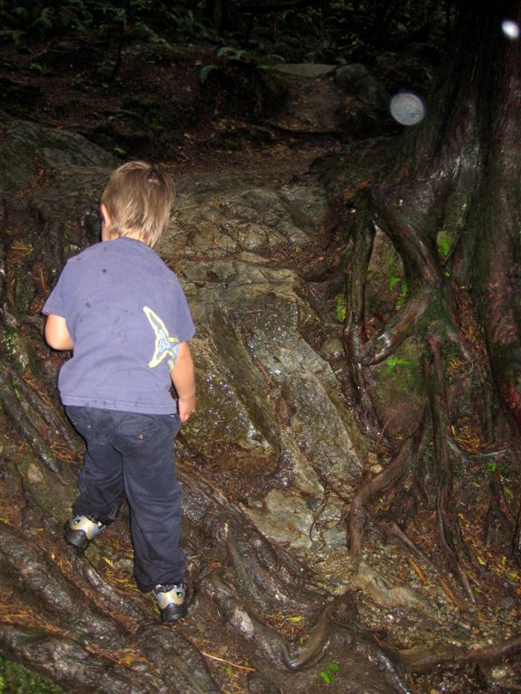 Bowan, the young adventurer