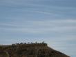 Horse statues on a higher viewpoint