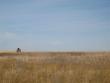 Lots of plateau fields. A lonely barn.