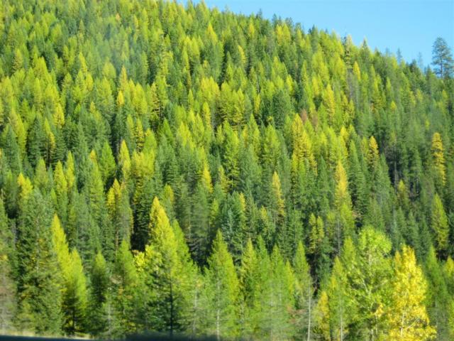 Beautiful hills in northern Idaho