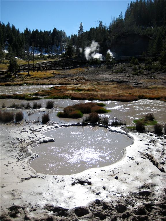Springs and gases everywhere