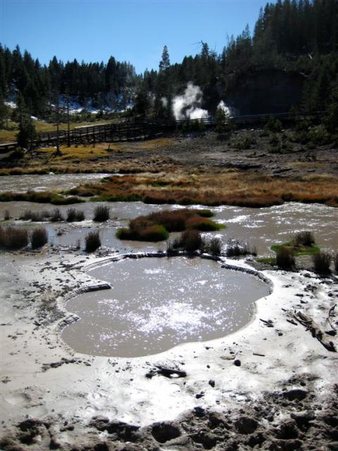 Springs and gases everywhere