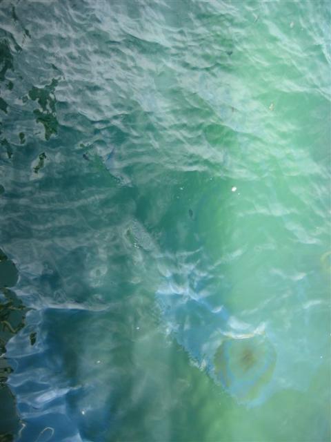 Oil bubble