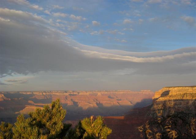 Cool shadows
