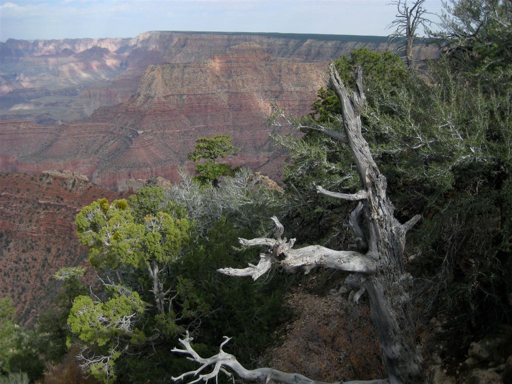 One last shot of the canyon