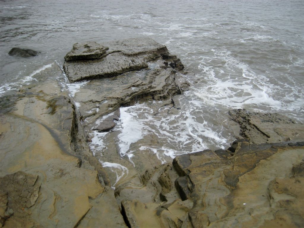 Tide was all the way in so we couldn't see the tide pools...