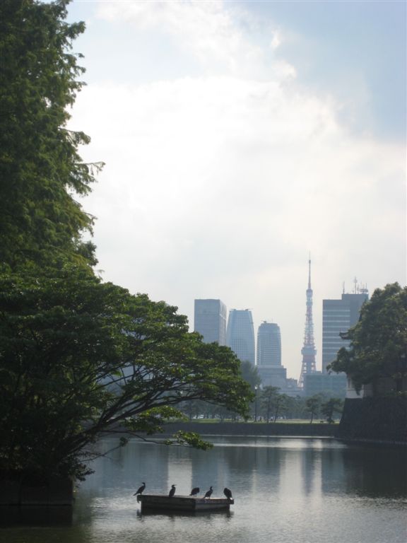 More Tokyo tower, moat & cormorants