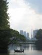 More Tokyo tower, moat & cormorants