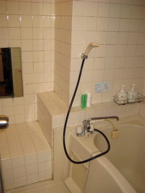 The bath room.  Japanese style.  The whole room gets wet.  :)