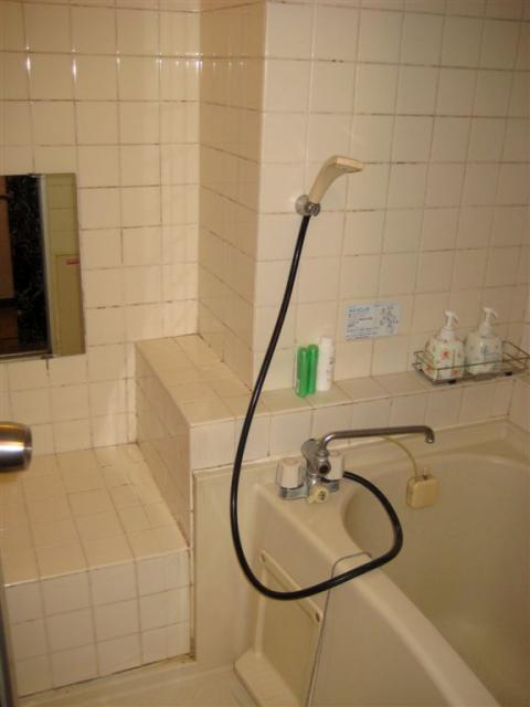 The bath room.  Japanese style.  The whole room gets wet.  :)