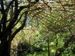 Heian Shrine garden