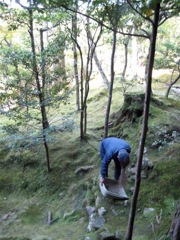 Sweeping the moss...