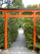 Ryoanji Temple grounds