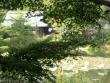 Ryoanji Temple grounds