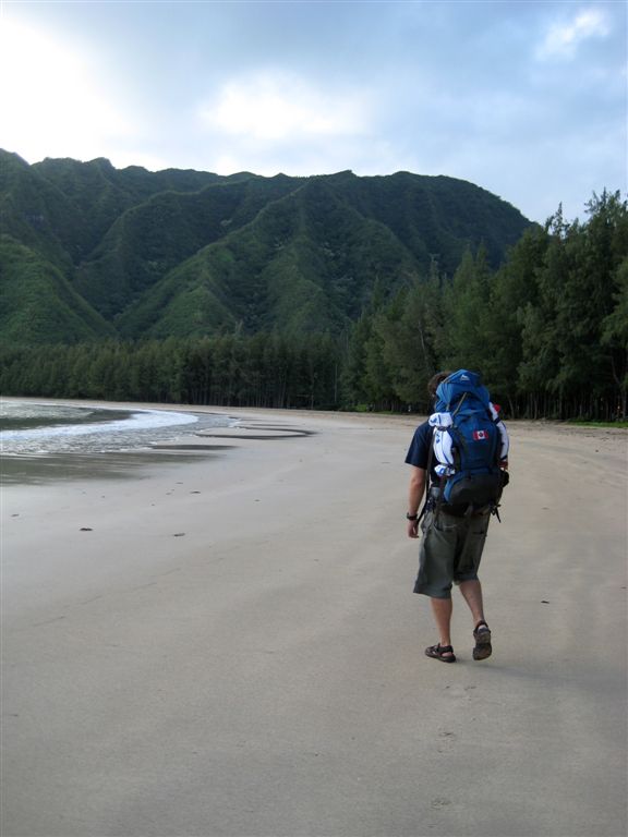 #1 of flip animation