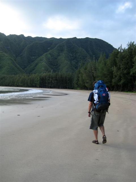 #1 of flip animation