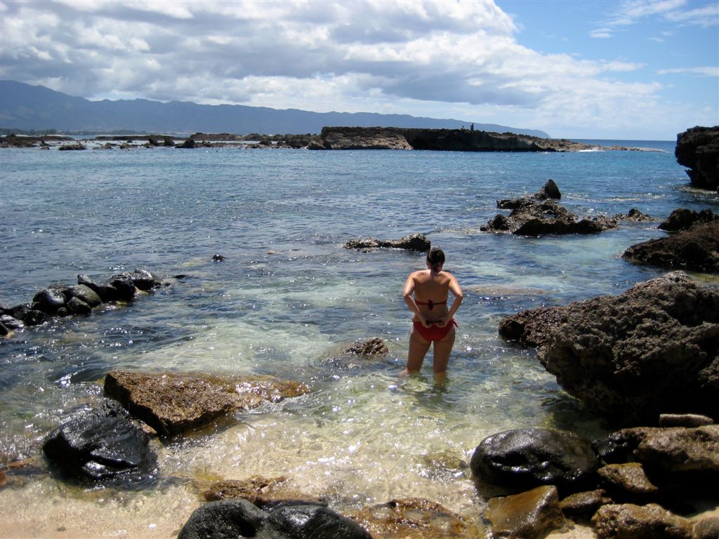 Swimming with the fishies in Sharks Cove