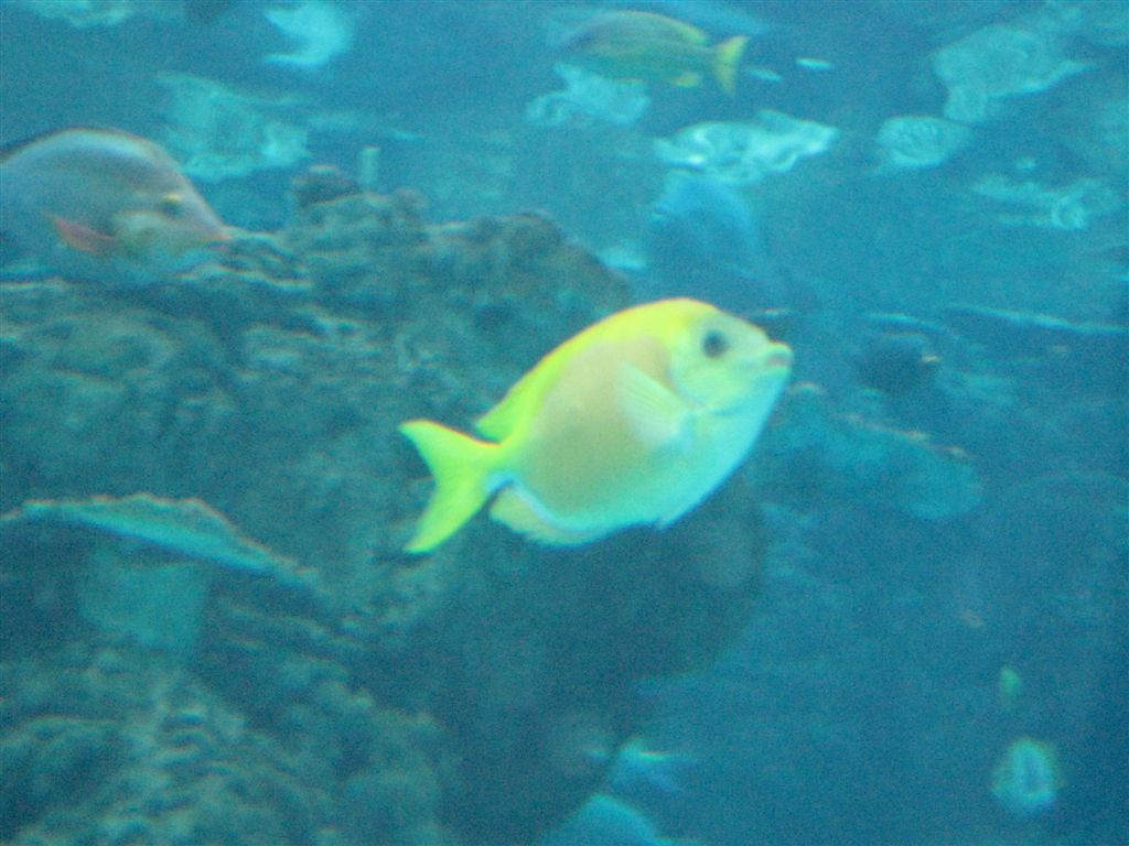 IMG_4267