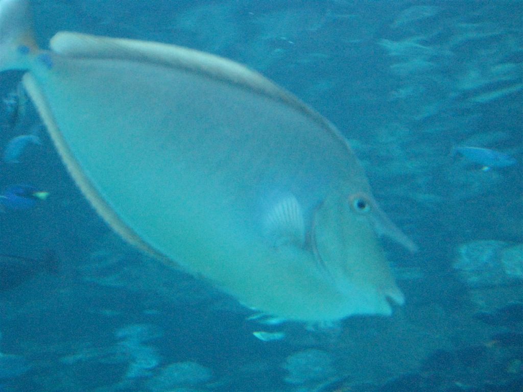 IMG_4278