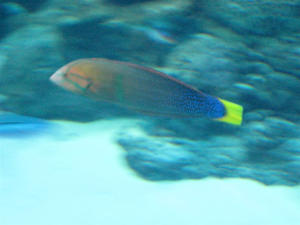 IMG_4279