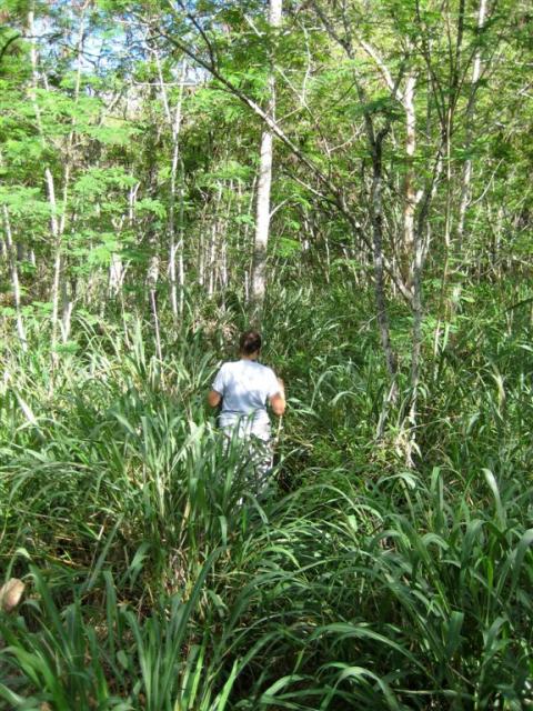 Almost got lost... yes this is the right path....