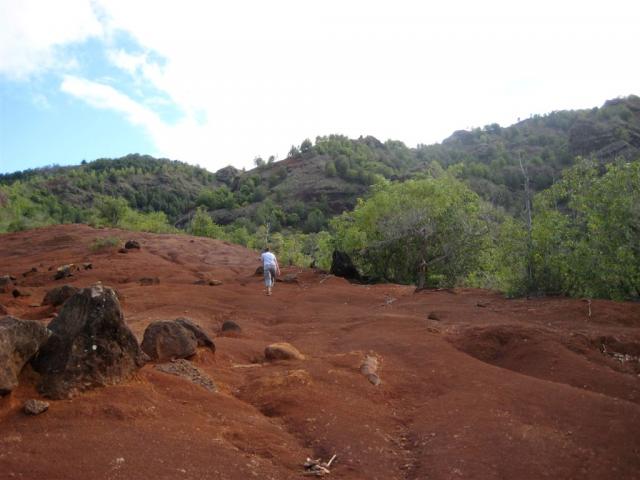 2.5 miles straight back up....