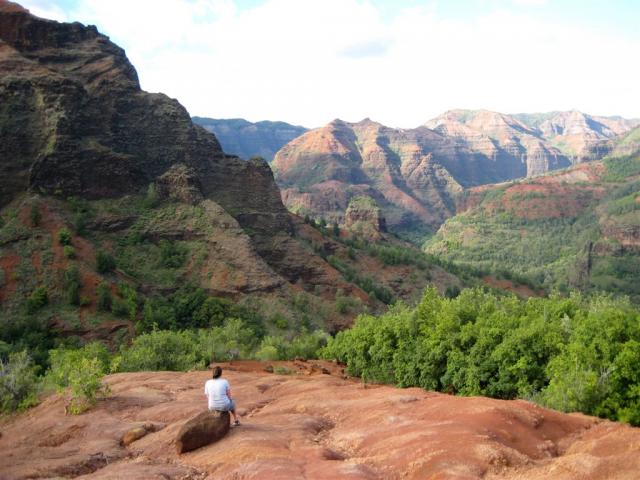Perfect thinking spot.  or resting....