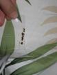 BED BUGS!