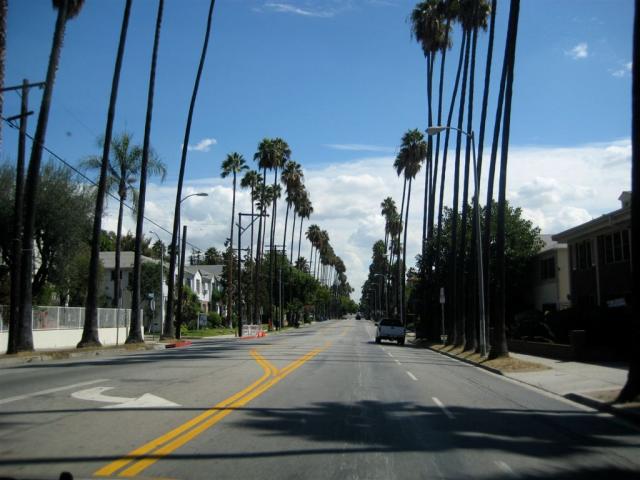 Driving down Hollywood Blvd