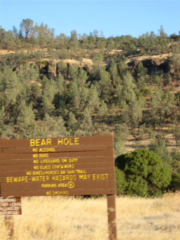 Bear Hole!