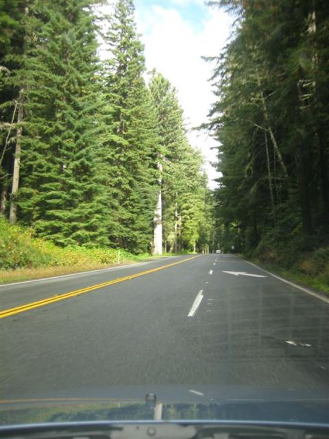 Driving through more redwoods