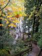 Up many stairs, nice yellow leaves